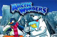ARCTIC WONDERS?v=2.8.6
