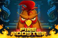FIRE ROOSTER?v=2.8.6