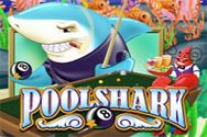 POOL SHARK?v=2.8.6