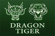 DRAGON TIGER?v=2.8.6