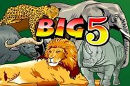 BIG 5?v=2.8.6