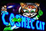 COSMIC CAT?v=2.8.6