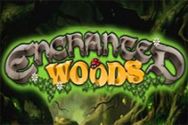 ENCHANTED WOODS?v=2.8.6
