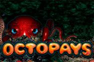 OCTOPAYS?v=2.8.6