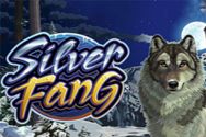SILVER FANG?v=2.8.6