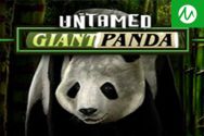 UNTAMED GIANT PANDA?v=2.8.6
