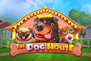 THE DOG HOUSE?v=2.8.6